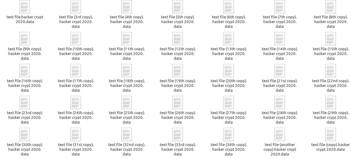 hacker crypt 2020.data Virus File xorist ransomware