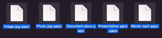 qapo virus files decryptor remove